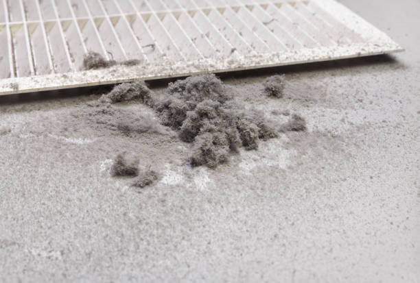 Best Dryer Vent Cleaning Services  in Wyanet, IL